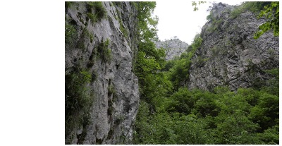 Peștera Selitrari 